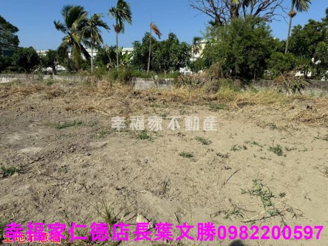 仁德農地-10