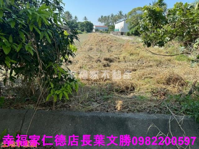 仁德農地-22
