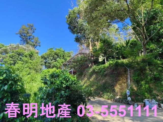 北埔農地-4
