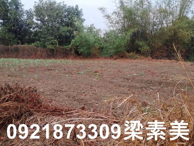 台南農地-13