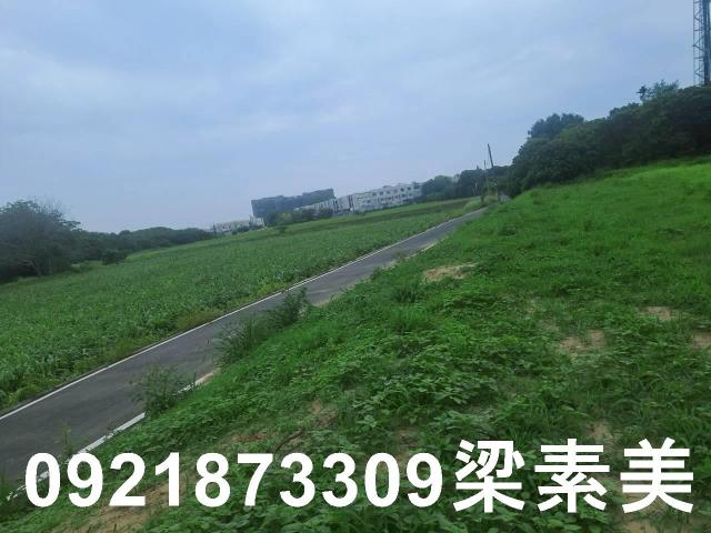 台南農地-2