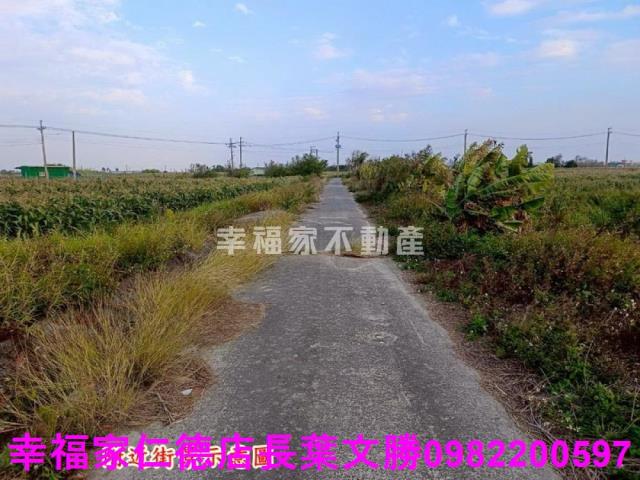 台南農地-21