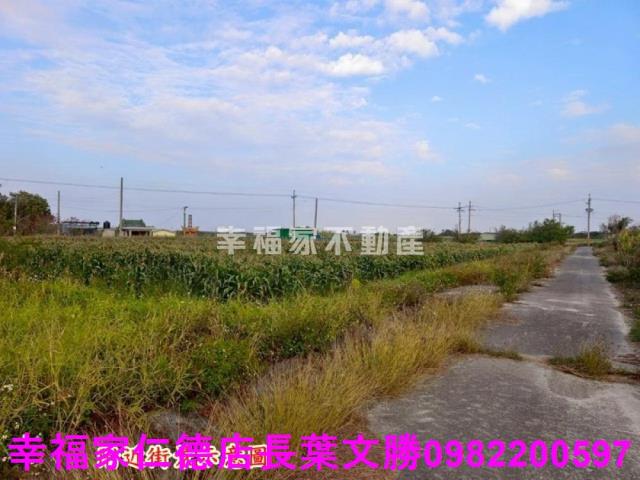 台南農地-26