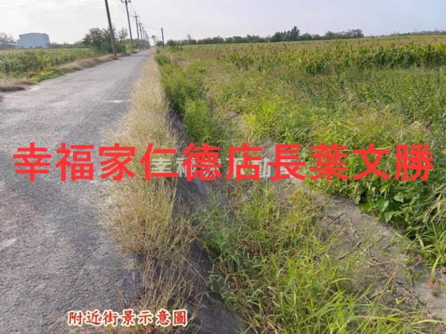 台南農地-4