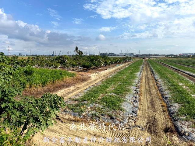 台南新市農地-9