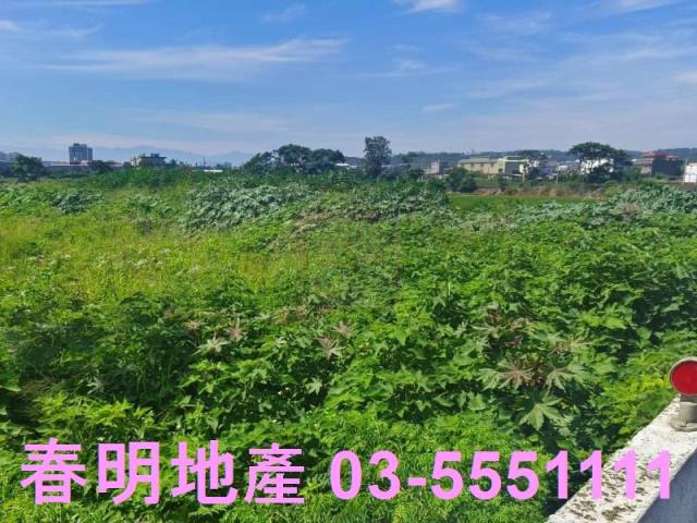新竹新豐農地-7