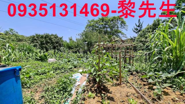 峨眉林地-1