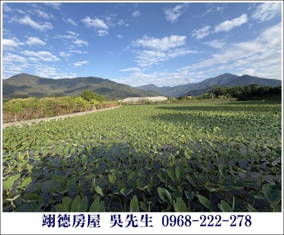 高樹農地-3