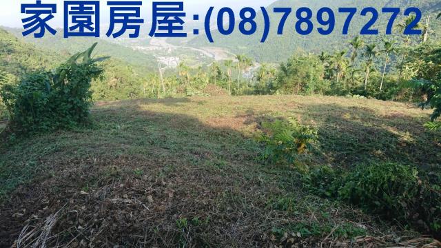 卑南農地-1