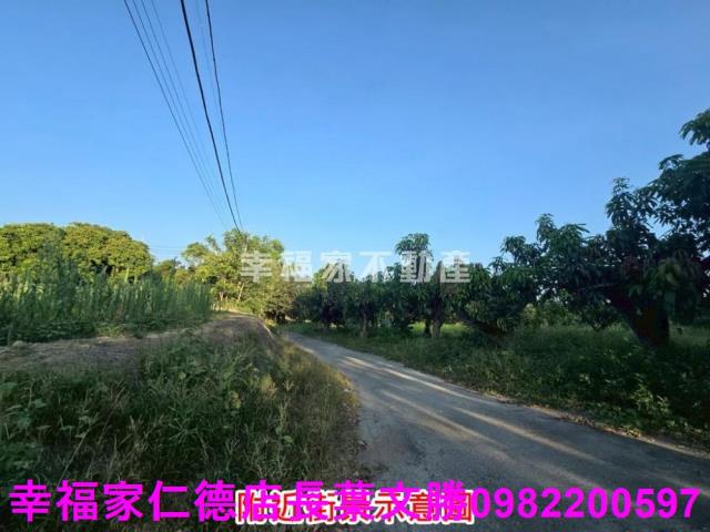 官田農地-9