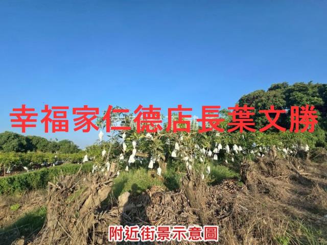 台南農地-14