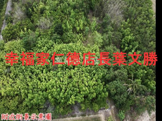 台南農地-3