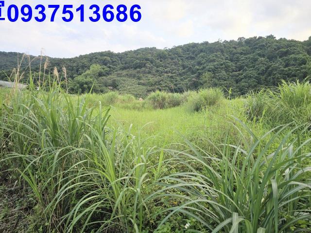 宜蘭農地-4
