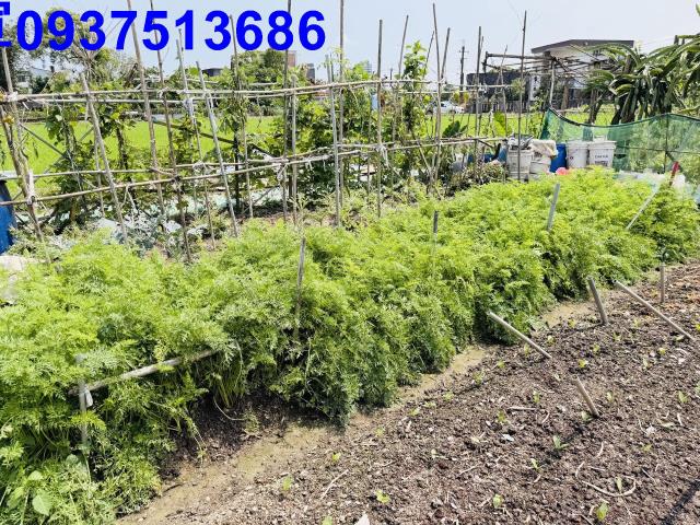 宜蘭農地-8