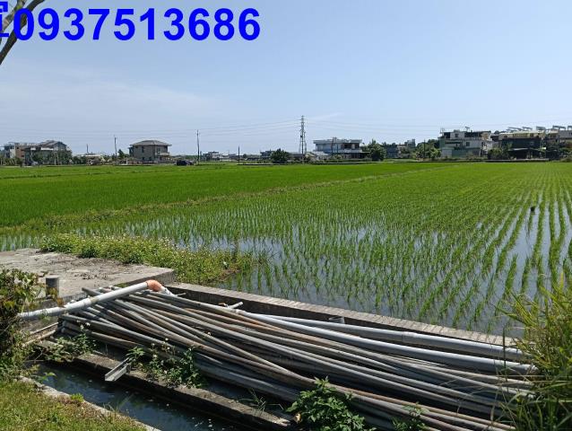 宜蘭農地-5