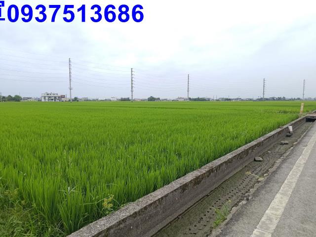 宜蘭農地-2