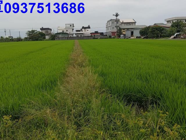 宜蘭農地-8