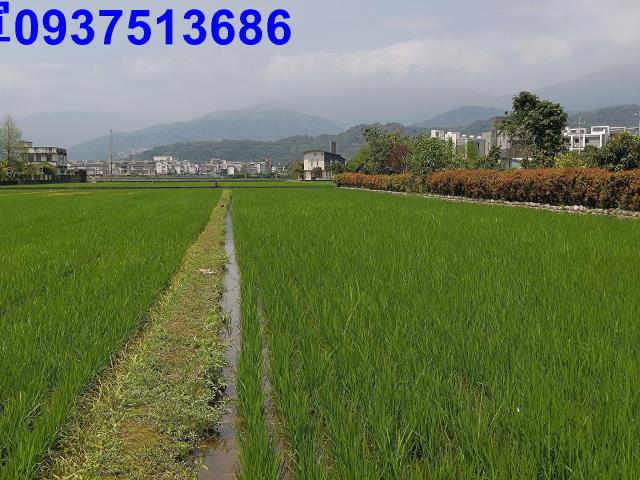 宜蘭礁溪農地-6