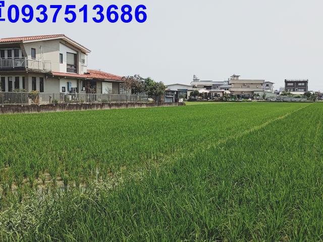 宜蘭礁溪農地-9
