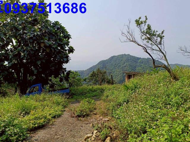 宜蘭員山農地-11