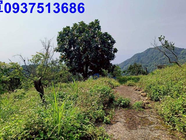 宜蘭員山農地-12