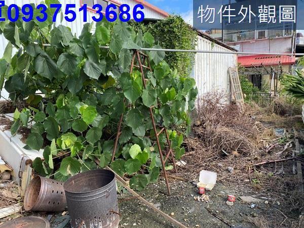 宜蘭宜蘭市建地-4
