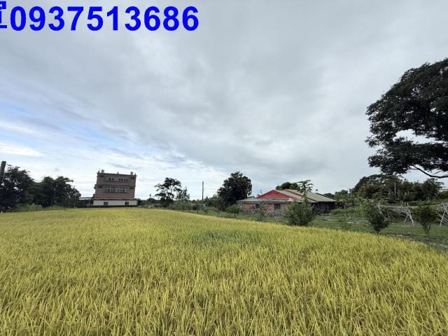 宜蘭頭城農地-6