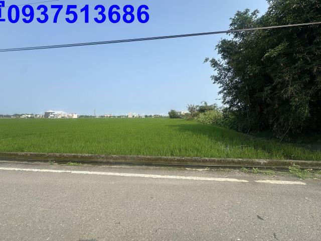 宜蘭壯圍農地-5