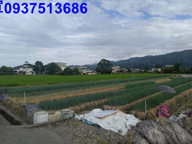 宜蘭三星農地-7