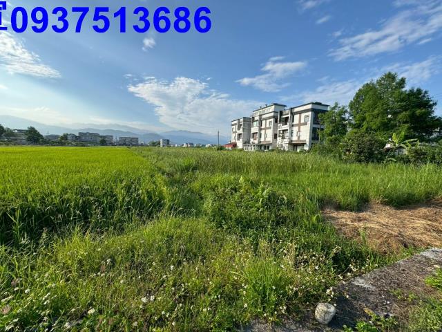 員山農地-1