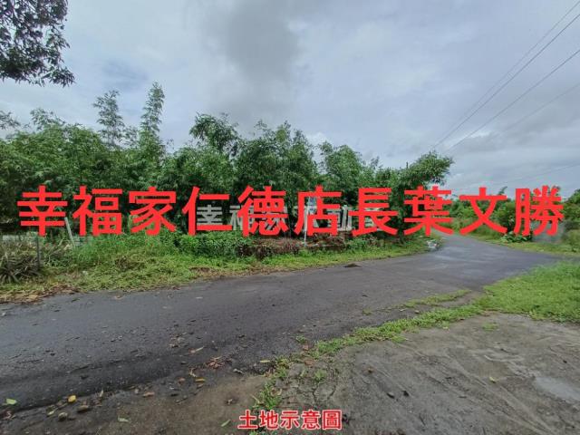 歸仁農地-18