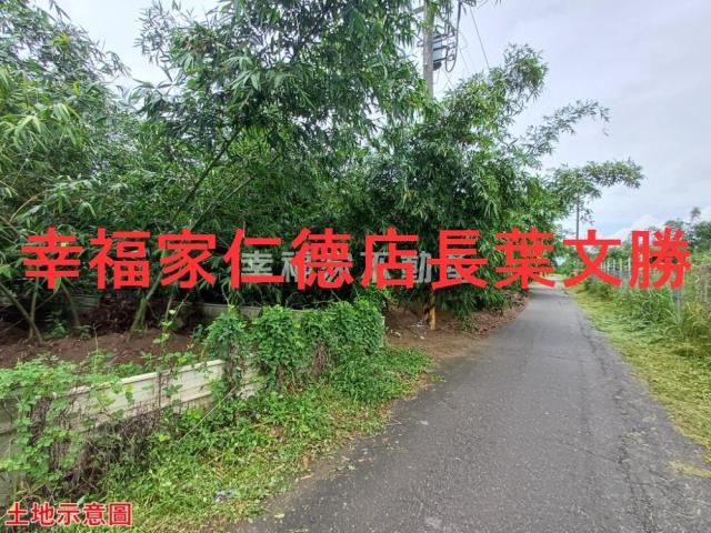 歸仁農地-1