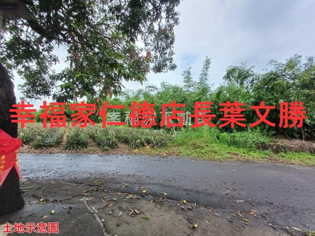 歸仁農地-22