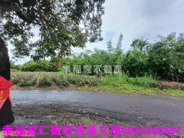 歸仁農地-11