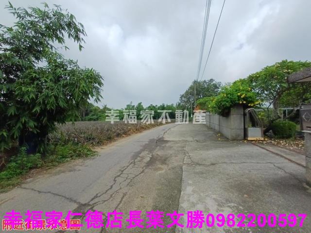 歸仁農地-12