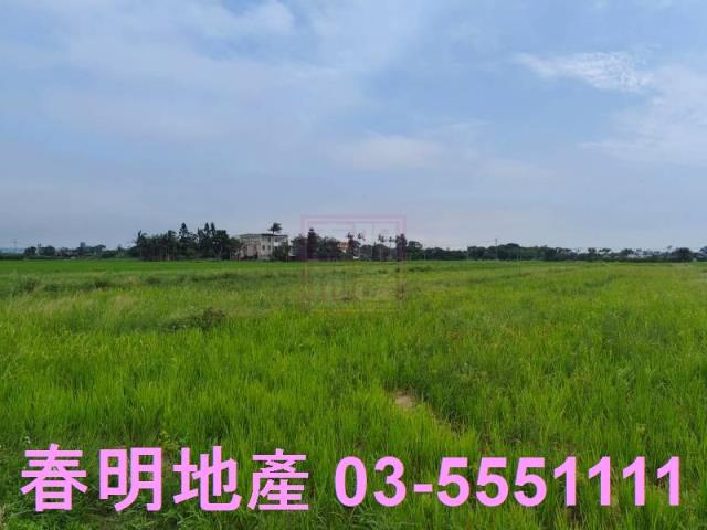 新豐農地-2