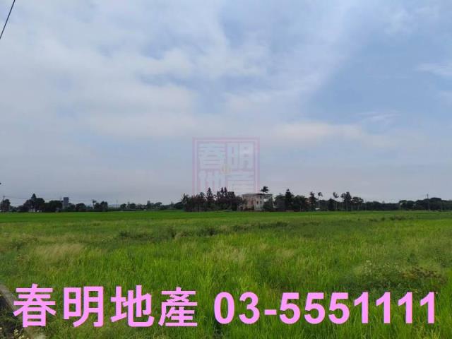 新豐農地-4