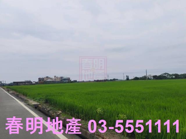 新豐農地-6