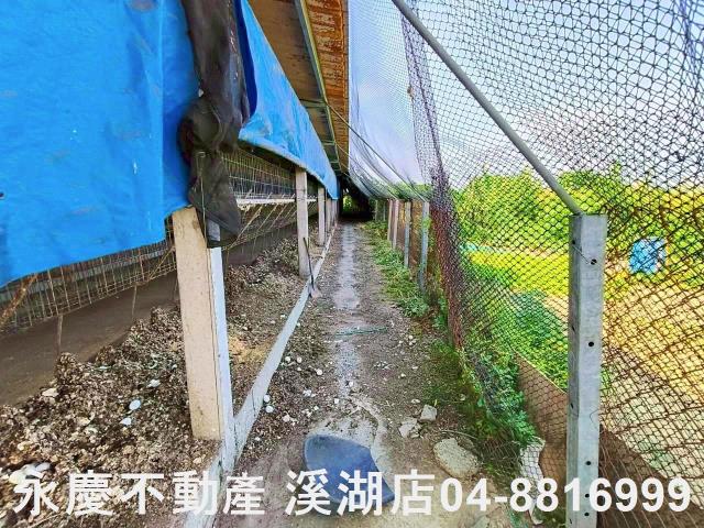 埔鹽農地-11