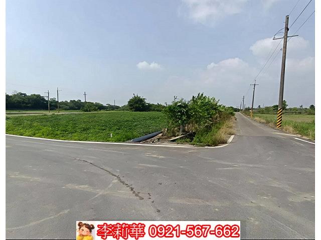 新市農地-4