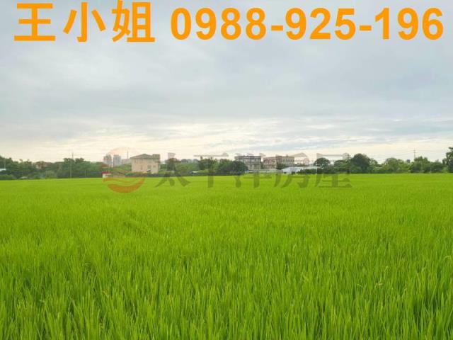 桃園中壢農地-5