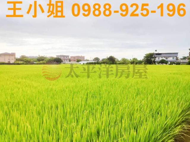 桃園中壢農地-6