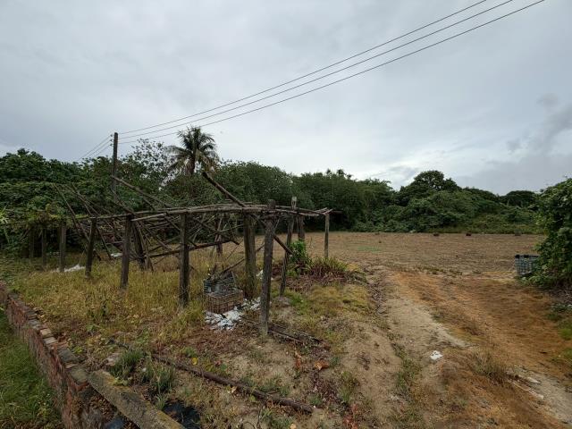 高雄路竹農地-2