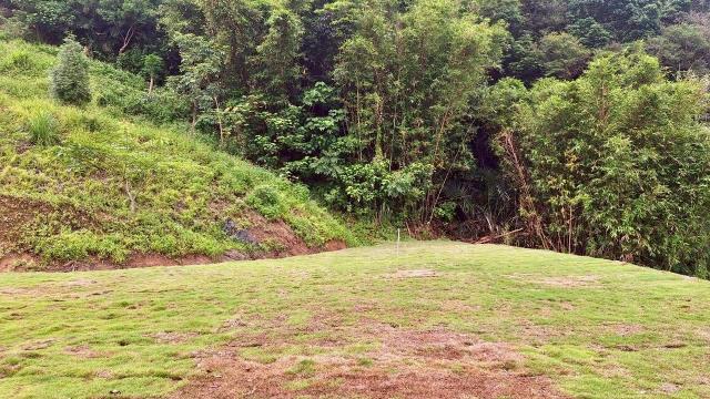 寶山山坡地-7