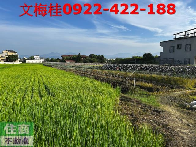 宜蘭農地-2