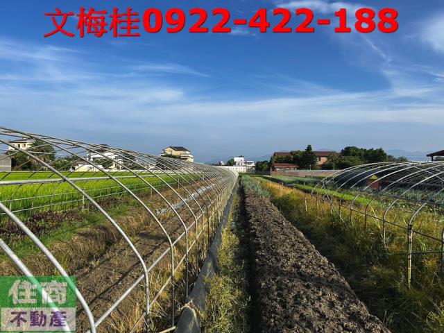 宜蘭農地-6