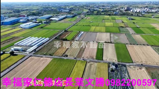 台南佳里農地-9