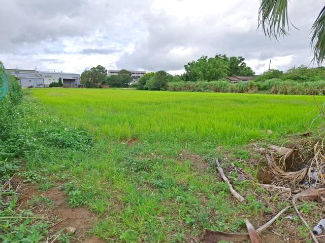 桃園楊梅農地-3