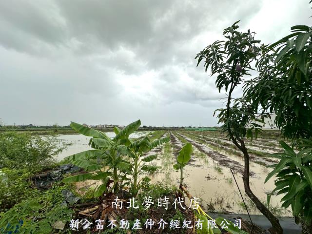 台南鹽水農地-3