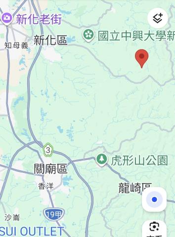 新化林地-13